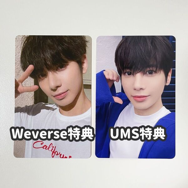 TXT Love Language Weverse JP特典 ユニバ特典 トレカ テヒョン 2枚セット