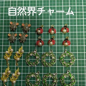 テントウ虫 ネズミ リーフ チャーム