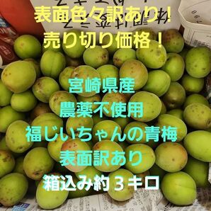 ●売り切り価格▲表面訳あり!宮崎県産 農薬不使用 福じいちゃんの青梅 箱込み約3キロ