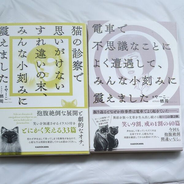 【2冊セット】猫の診察で思いがけないすれ違いの末・電車で不思議なことによく遭遇して、みんな小刻みに震えましたやーこ/著
