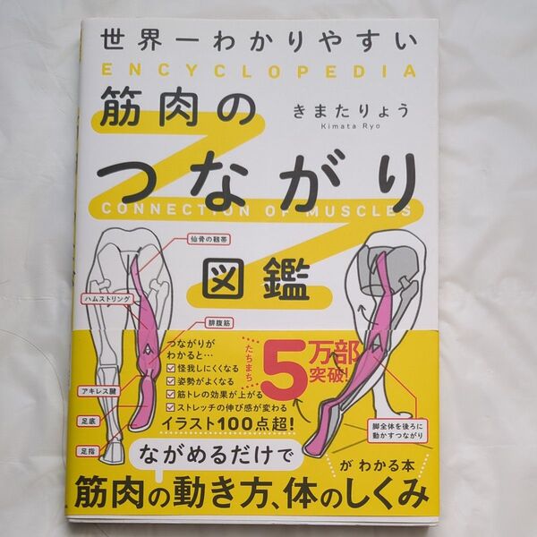 世界一わかりやすい筋肉のつながり図鑑 きまたりょう/著