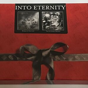 INTO ETERNITY 2枚組 CD 2CD プログレデス