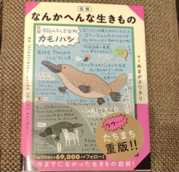 図解なんかへんな生きもの ぬまがさワタリ/絵・文 〔中田兼介/監修〕