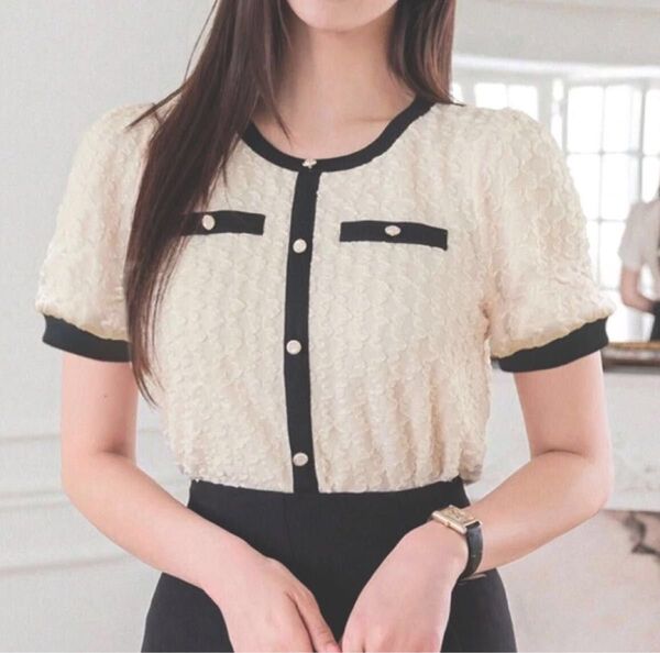 【未使用】SHEIN DAZY ラウンドネック カラーブロック ショートパフスリーブ Tシャツ