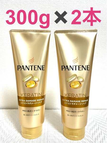 パンテーン エクストラダメージリペア トリートメント 300g×2