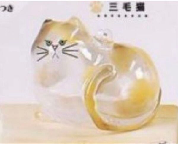 うちの子のけだまだま 三毛猫