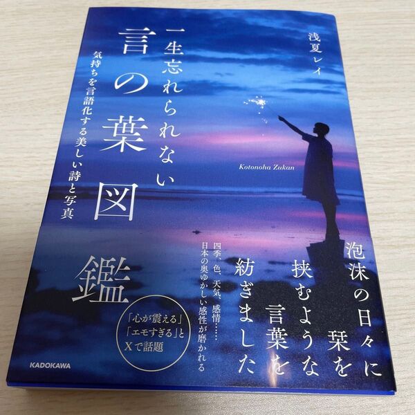一生忘れられない言の葉図鑑 気持ちを言語化する美しい詩と写真 浅夏レイ/著