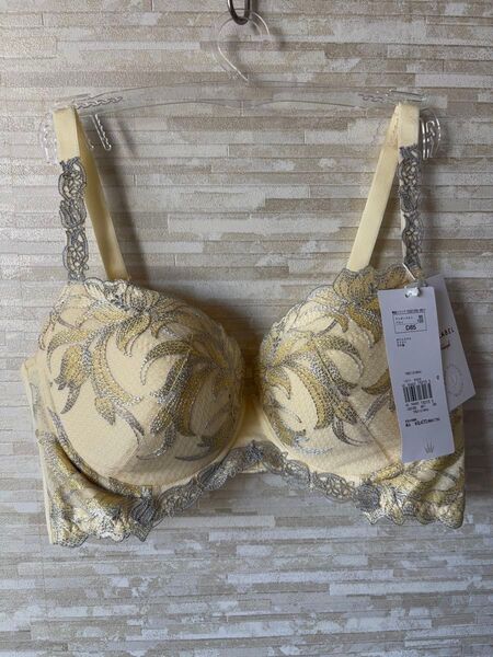 D85」トリンプ プレミアム レッドレーベル うつろいゆく空 ブラジャー