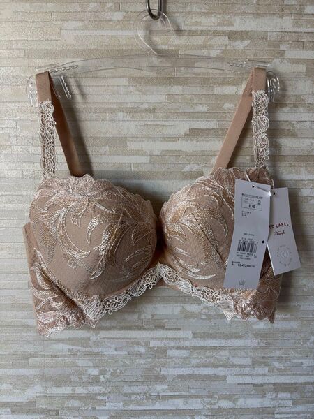 E75」トリンプ プレミアム レッドレーベル うつろいゆく空 ブラジャー