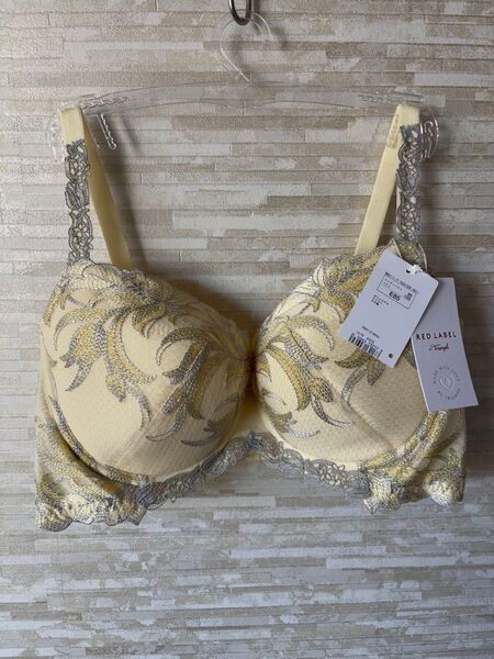E85」トリンプ プレミアム レッドレーベル うつろいゆく空 ブラジャー