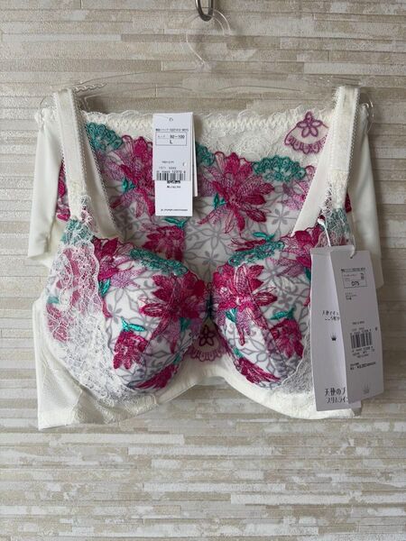D75L」トリンプ レッドレーベル天使のブラ スリムライン月光の女王ブラショーツ