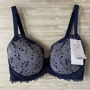 D85」トリンプ プレミアム レッドレーベル シアー&グロス ブラジャー