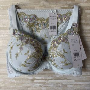 E75&M」トリンプ プレミアム レッドレーベル 眠り姫バラ咲き ブラ&ショーツ