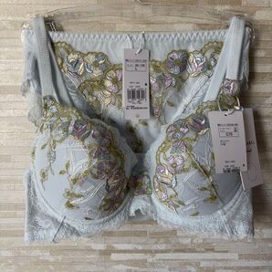 C75&L」トリンプ プレミアム レッドレーベル 眠り姫バラ咲き ブラ&ショーツ