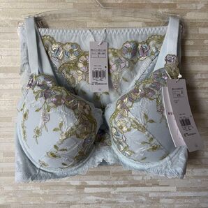 E75&L」トリンプ プレミアム レッドレーベル 眠り姫バラ咲き ブラ&ショーツ