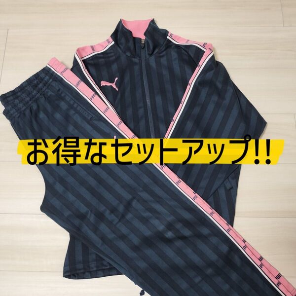 早い者勝ち☆PUMA プーマ ジャージ セットアップ サイドライン ピンク 廃盤