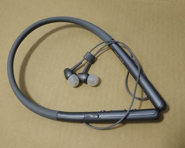 h.ear in 2 Wireless(WI-H700) ワイヤレスイヤホン