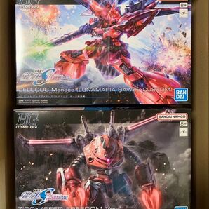 HG ゲルググメナース・ズゴック SEED FREEDOM ver.