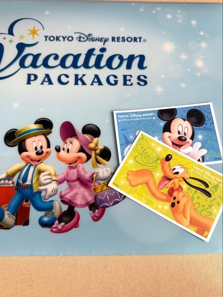 ディズニーリゾートペアチケット(バラ売り不可)