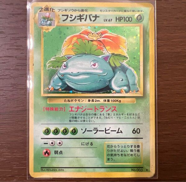 フシギバナ ②★ 第1弾拡張パック 【旧裏】 十字ホロ 旧裏面 ポケモンカード ポケカ トレカ キラ