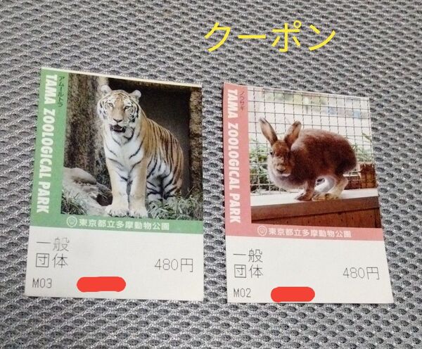 東京都 多摩動物公園 チケット 2枚 有効期限なし おりがみ 1枚 動物園 コアラ お出かけ