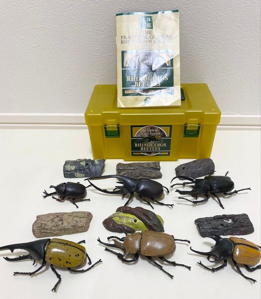 【カロラータ】立体図鑑 カブトムシ ライナセラスビートルボックス フィギュア 昆虫 おもちゃ