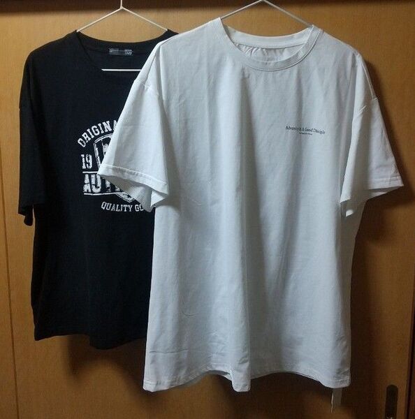 SHEIN Dazy Tシャツ2点まとめ売り バックプリント シーイン