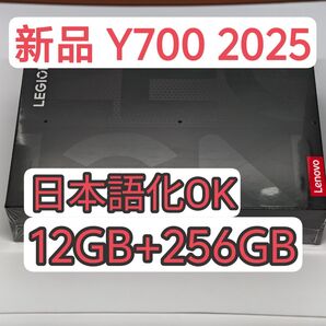 【日本語化OK】LENOVO Y700 2025 12GB+256GB【グーグル導入可】
