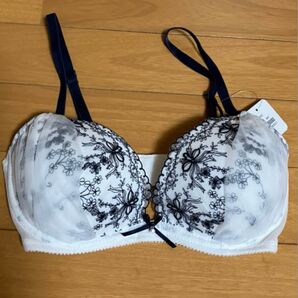 ブラジャー ショーツ パンツ D65 白