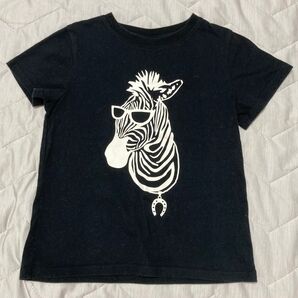 キッズ Tシャツ シマウマ柄 120cm 黒