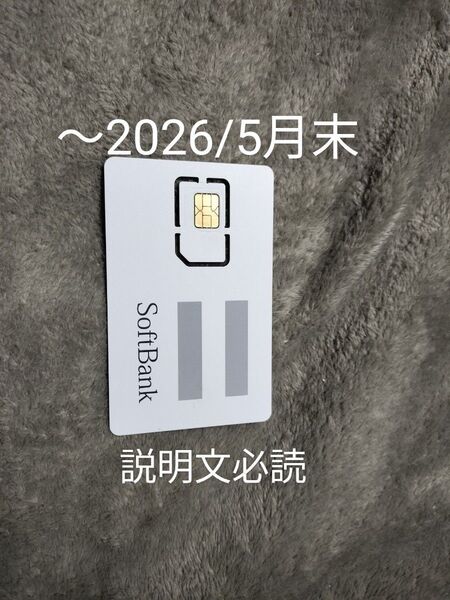 SIMカード SMS受信&データ通信用毎月1GBまで ソフトバンク