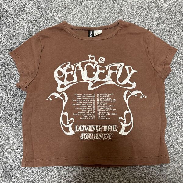 ピチT チビT y2k グランジ 韓国 半袖 ティシャツ 黒 半袖Tシャツ トップス 平成ギャル 90s 古着
