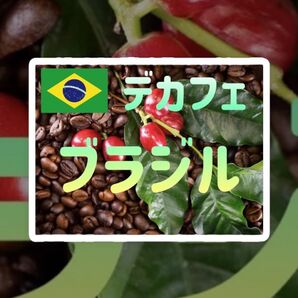 自家焙煎 デカフェ ブラジル