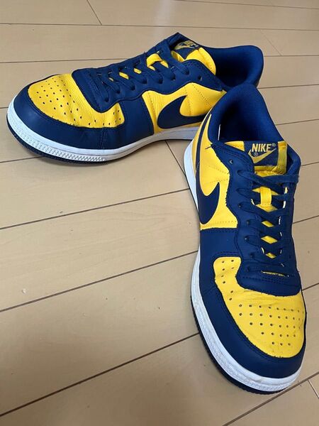 NIKE TERMINATOR LOW OG ナイキ ターミネーター ロー "ミシガン" FJ4206-700 28.0cm