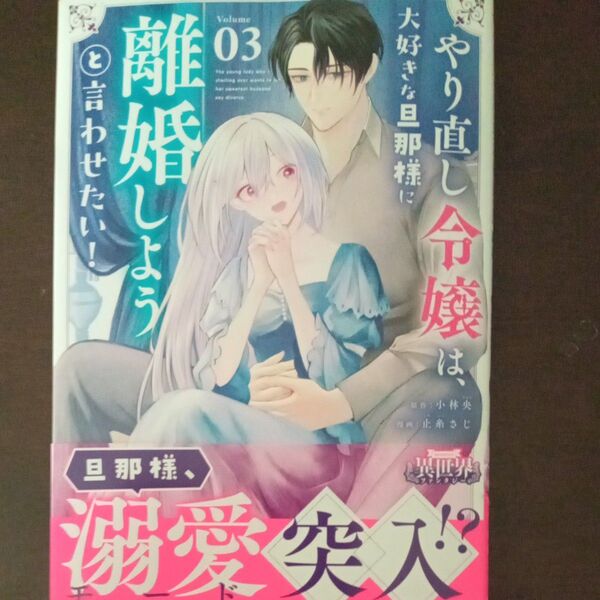 やり直し令嬢は、大好きな旦那様に離婚しようと言わせたい! 3