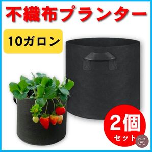 不織布プランター 10ガロン ポット ブラック 家庭菜園 植木鉢カバー 2個