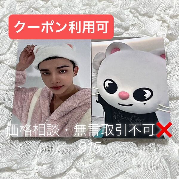価格相談× Stray Kids スキズ タワレコ SKZOO 両面トレカ フォトカード エコパ 開催記念 特典 ヒョンジン