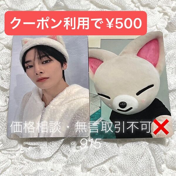 価格相談× Stray Kids スキズ タワレコ SKZOO 両面トレカ フォトカード エコパ 開催記念 特典 アイエン