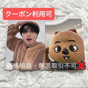 価格相談× Stray Kids スキズ タワレコ SKZOO 両面トレカ フォトカード エコパ 開催記念 特典 ハン ジソン
