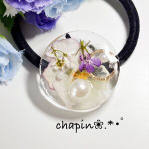 ( a168 ) レジン ヘアゴム ボタニカル ハンドメイド