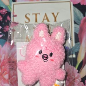 StrayKids ペンミ SKZ 5'CLOCK Micro ぬい トゥエッキ dwaekki
