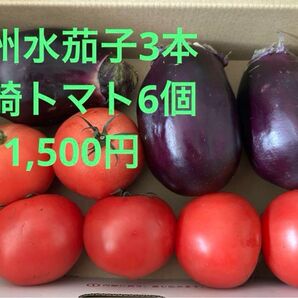 泉州水茄子3本&トマト6個セット