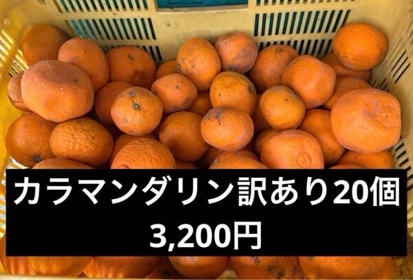 カラマンダリン訳あり20個
