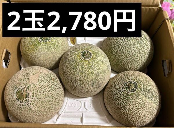 【本日限り】レノンメロン2玉