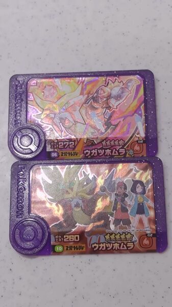 ポケモン フレンダ ウガツホムラ