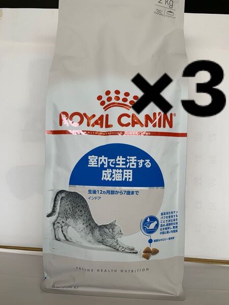 ロイヤルカナン 室内で生活する成猫用 インドア 2kg×3個