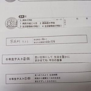 カラーテスト 小6 家庭 東京書籍、保健 光文書院 6年生 小学6年