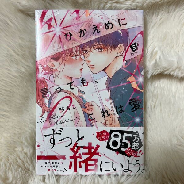 ひかえめに言っても、これは愛 5