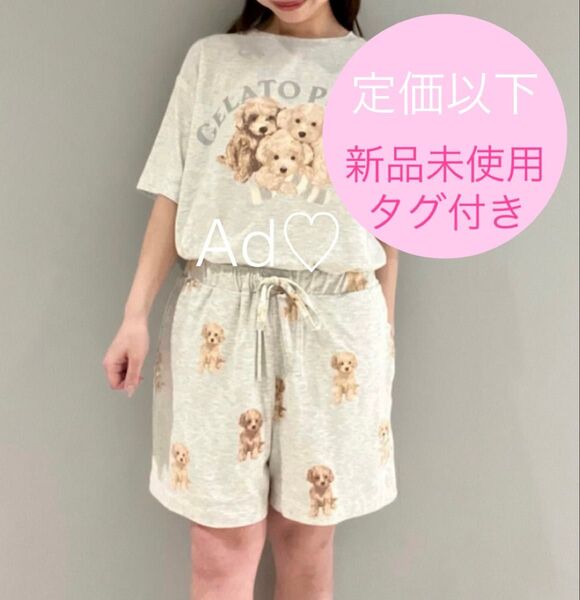 新品未使用 gelato pique トイプードルワンポイントTシャツ&総柄ショートパンツ グレー