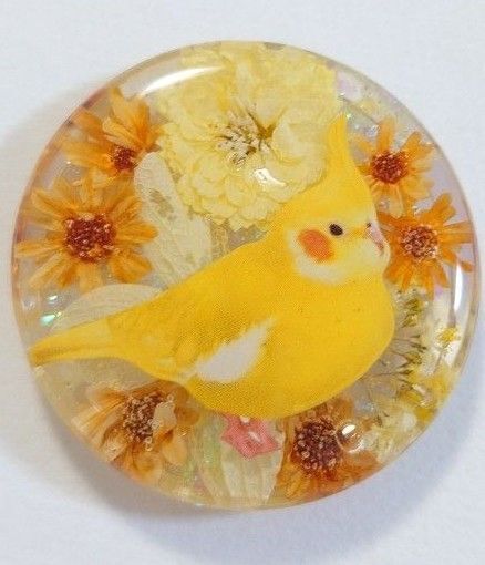 オカメインコちゃんとドライフラワーレジンアクセサリー☆かわいいアクセサリー オカメインコ インコ インコアクセサリー